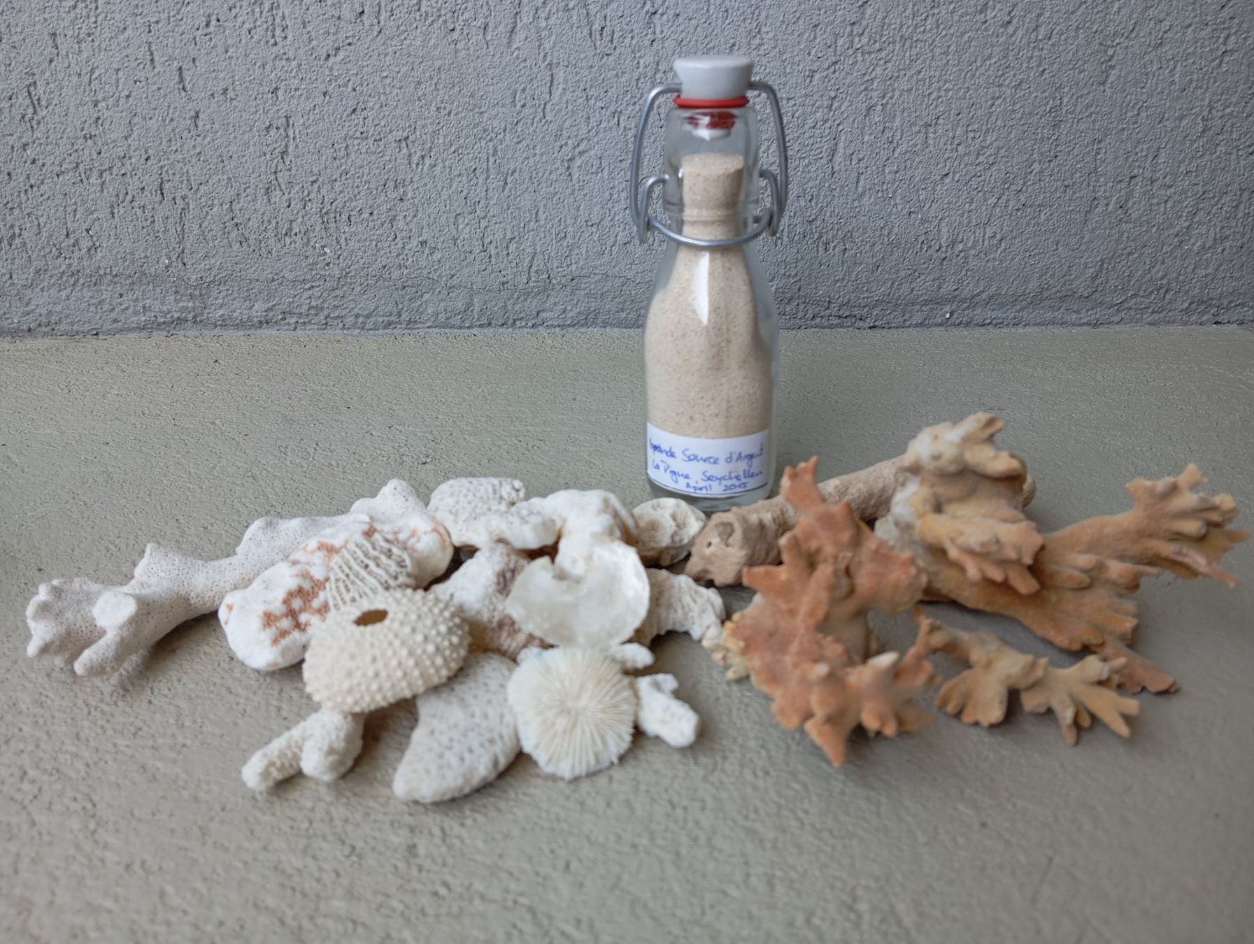 Fossili: Indischer Ozean "Sand & Korallen" – Nuovo e nell'imballaggio originale da Zeneggen venduto da shemesh_