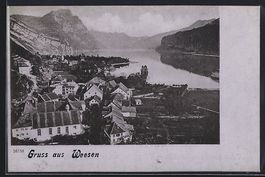 Weesen, Teilansicht mit See und Bergen a