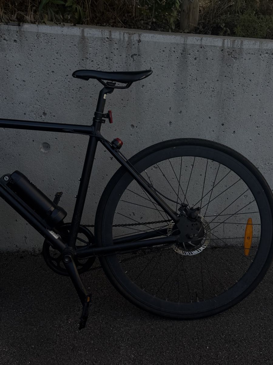 Velos: Sushi E-Bike Maki – Gebraucht aus St. Gallen von cecchiserain 2
