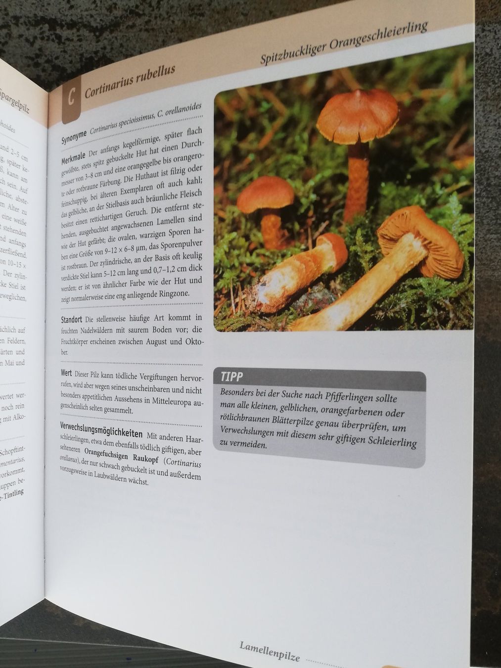 Bücher: Handbuch Pilze – Gebraucht aus Hildisrieden von Malve 3