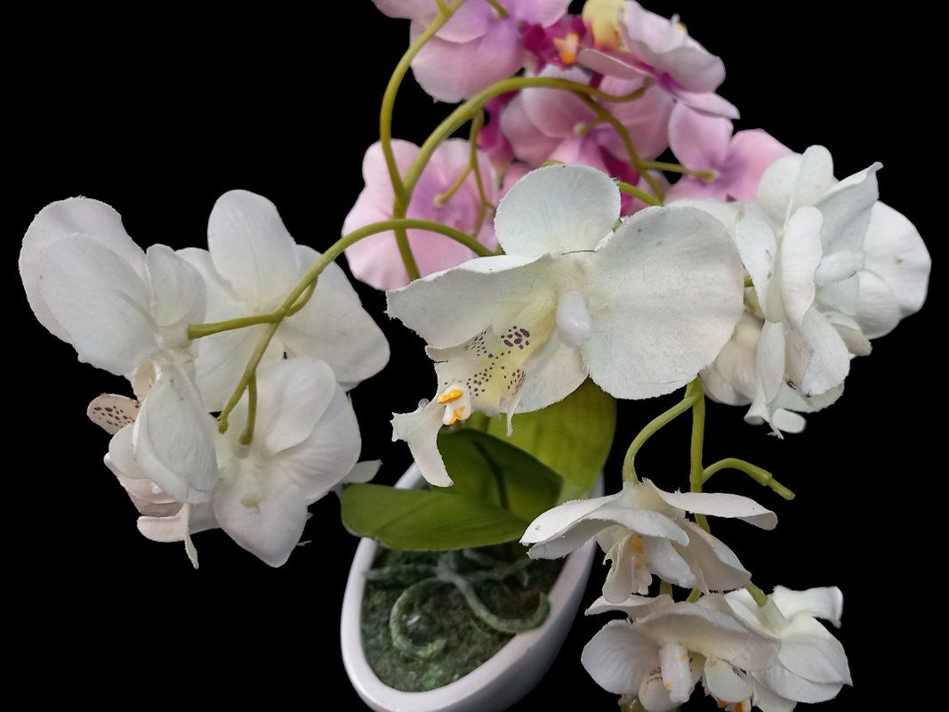 Tutte le decorazioni: Kunstpflanze Orchidee – Usato da Hünenberg venduto da Restwert_Zug 5