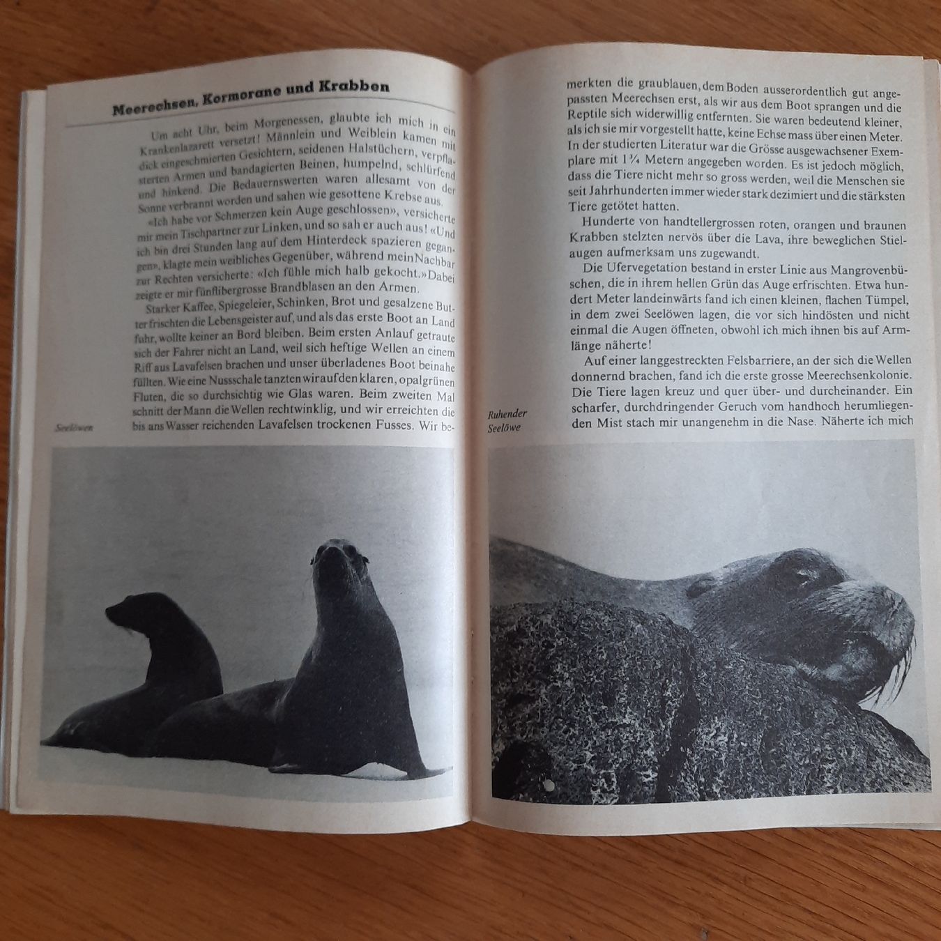 Riviste & Magazine: SJW Heft Nr.1219 Galapagos – Usato da Nottwil venduto da mar_jqm7 7