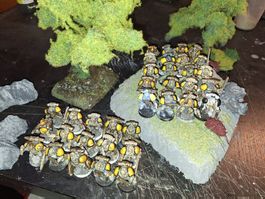 Warhammer 40k Space Marines Armee - Bemalt!