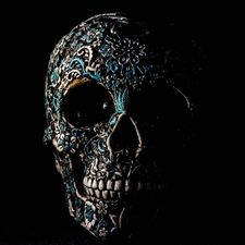 Profile image of lki_y55b