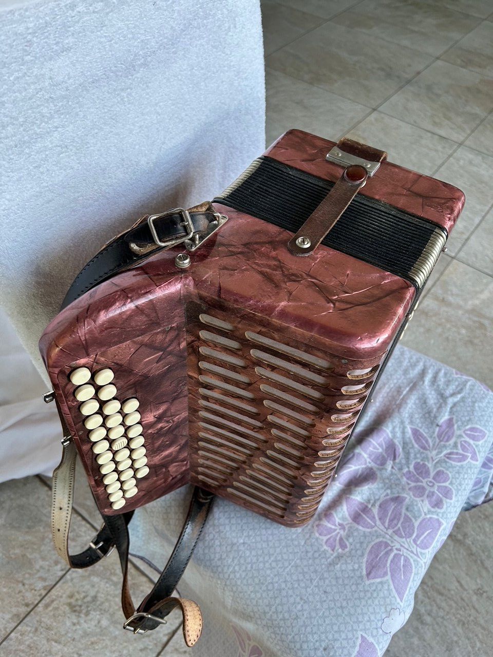 Strumenti musicali: Akkordeon Tell Bachenbülach Model 32A – Usato da Titterten venduto da Ameanrio 3