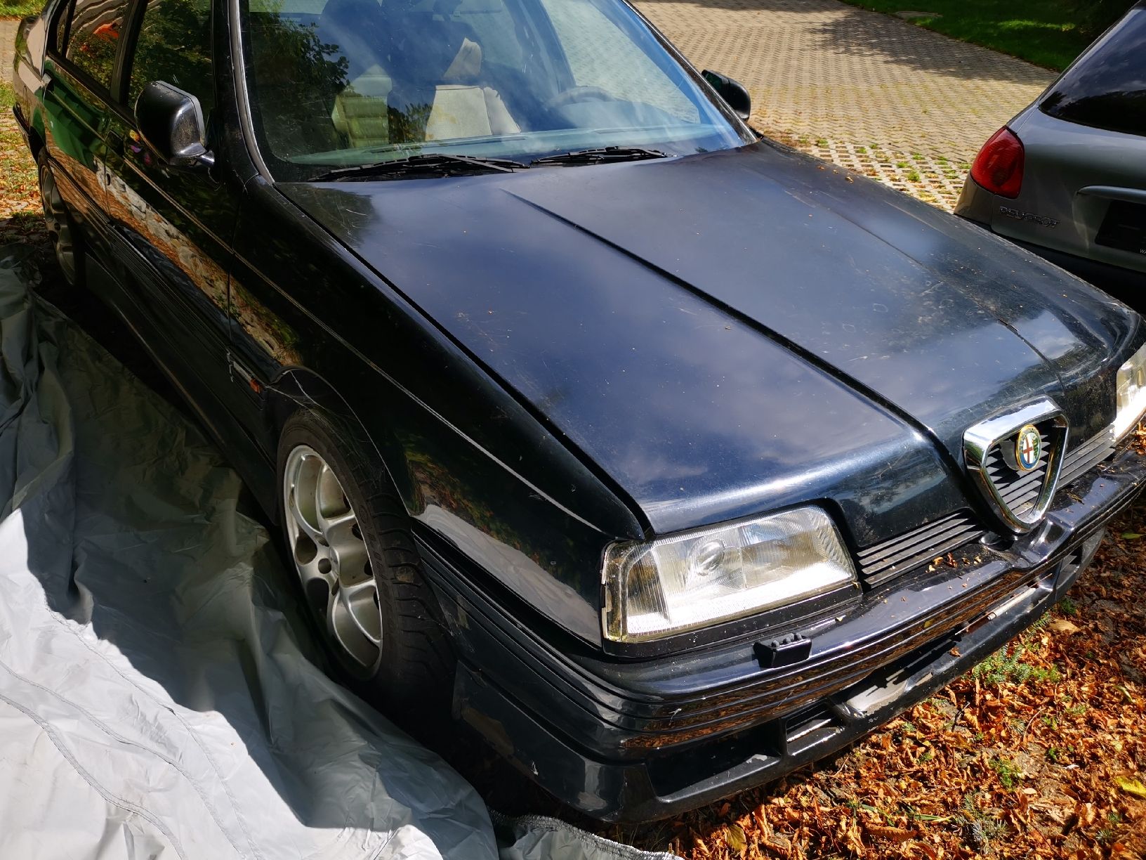 Alfa Romeo Automobili: Alfa Romeo 164 Q4 – Difettoso da Dübendorf venduto da Po928 4