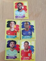 Lot de 5 vignettes Panini FIFA Collection 2026