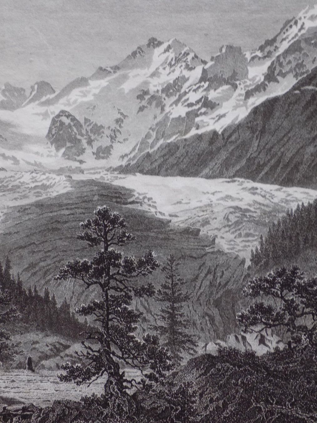 Incisioni: Berninakette Morteratsch Gletscher – Usato da Risch venduto da Rischli15 6