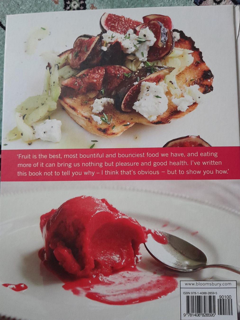 Libri: River Cottage FRUIT - Hugh Fearnley-Whittingstall – Nuovo (secondo la descrizione) da Eglisau venduto da Susanne2209 1