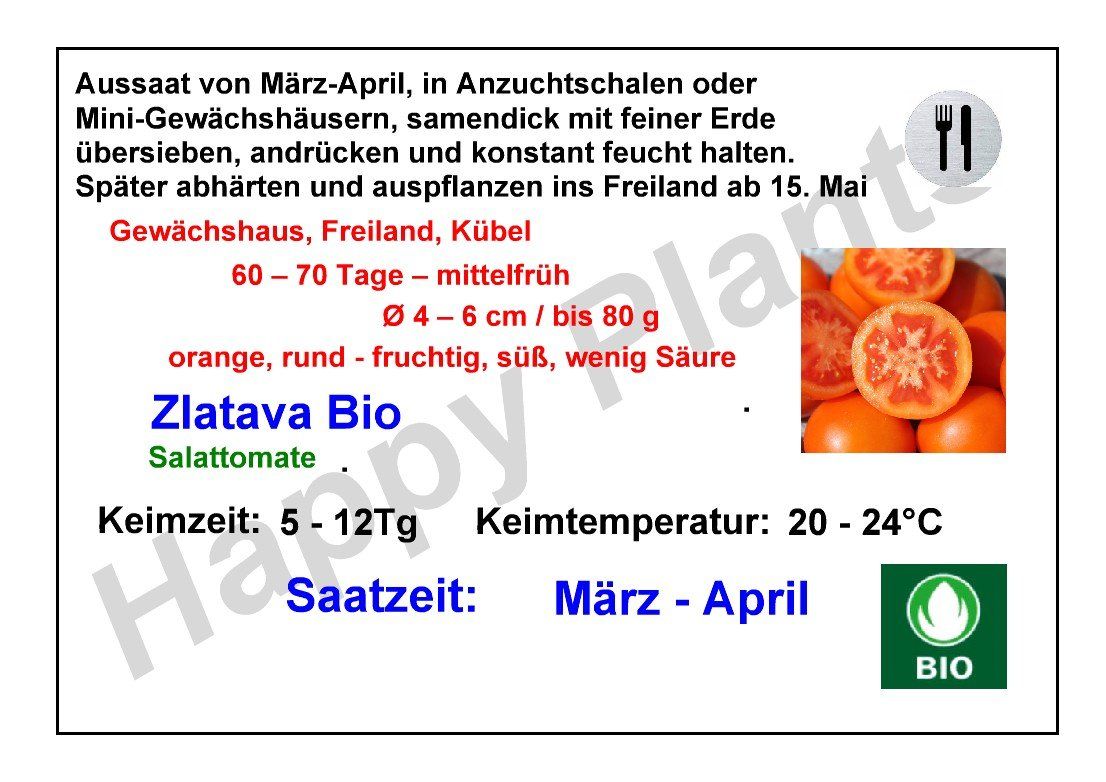 Piante & sementi: Zlatava Bio - Salattomate - 30 Samen – Nuovo e nell'imballaggio originale da Sumiswald venduto da Cham14559 2