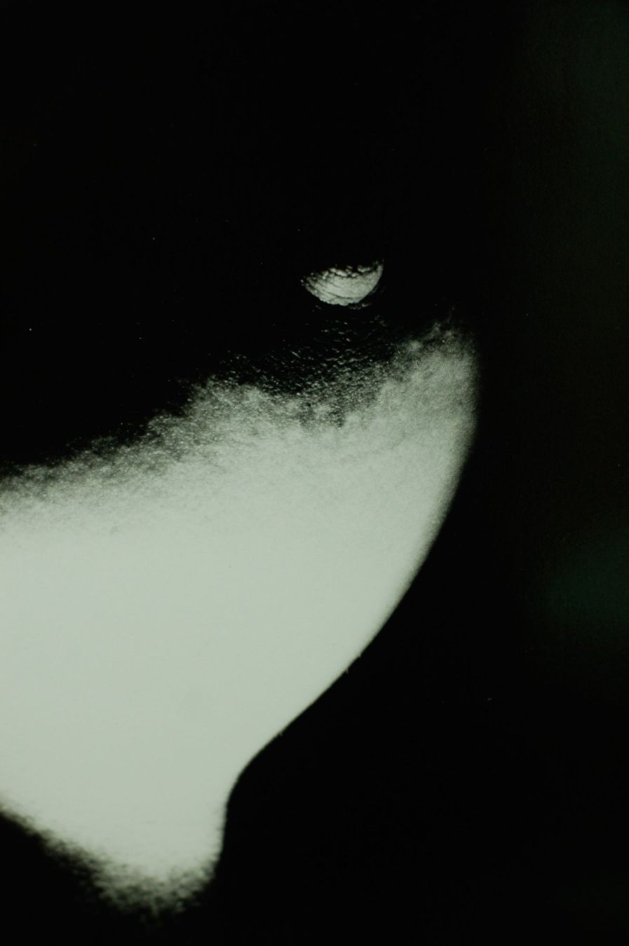Dipinti: Signierte Fotografie, 1992 – Usato da Baar venduto da Roze1 1