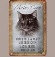 🔥 MAINE COON Katze Blechschild 🎀 12x18cm OVP 🔥