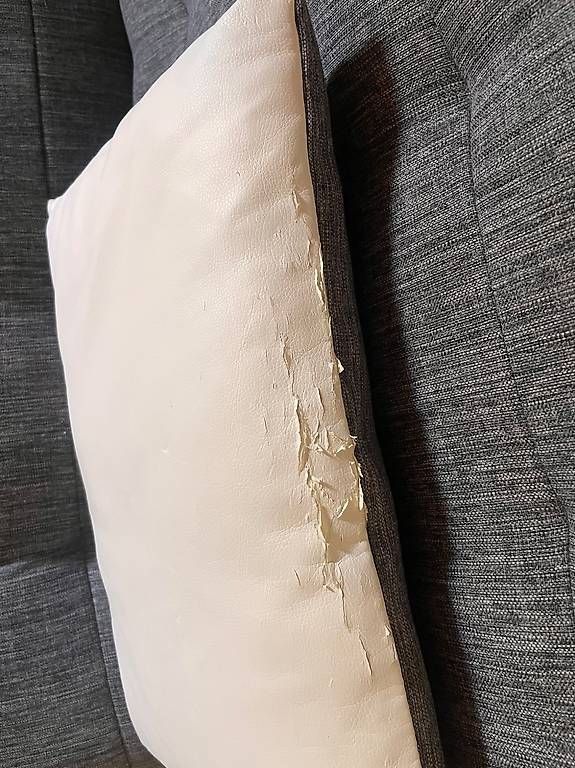 Divani: Ausziehbares Bettsofa – Usato da Bern venduto da ane_n5f7 3