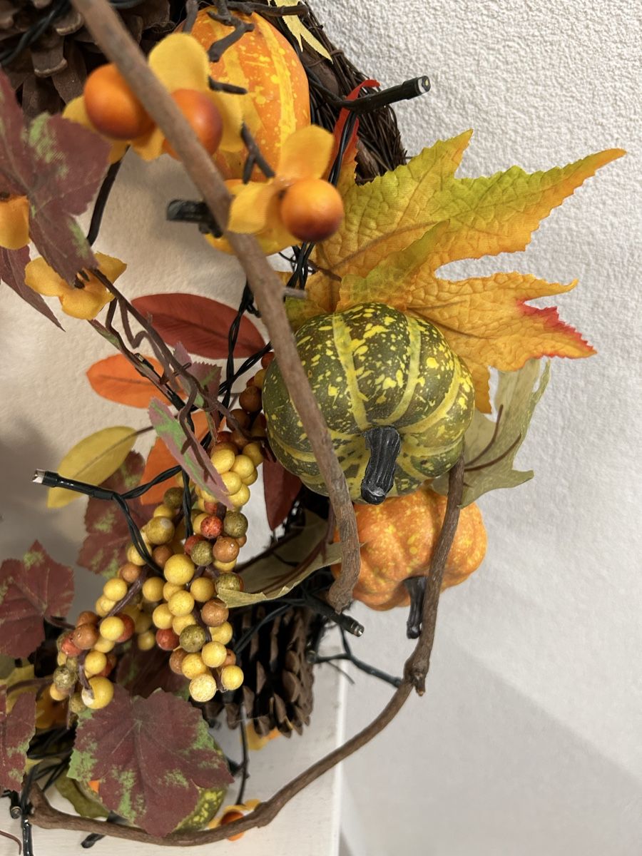 Tutte le decorazioni: Lot de décoration d’automne – Usato da Perroy venduto da MR6. 4