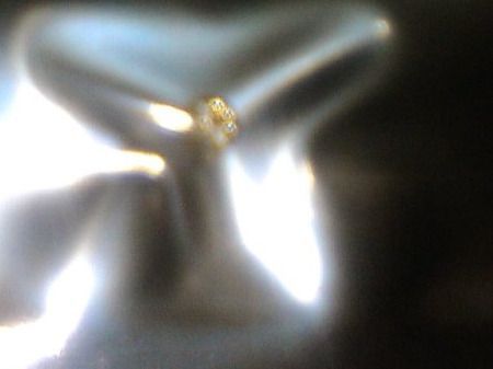 Edelsteine: ECHT DIAMANT,,GELB,,VVS1,,0.1 KARAT – Neu (gemäss Beschreibung) aus Basel von bijoutrie_4 6