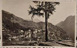 FINHAUT - 1959