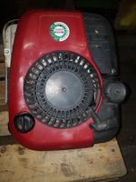 Benzinmotor