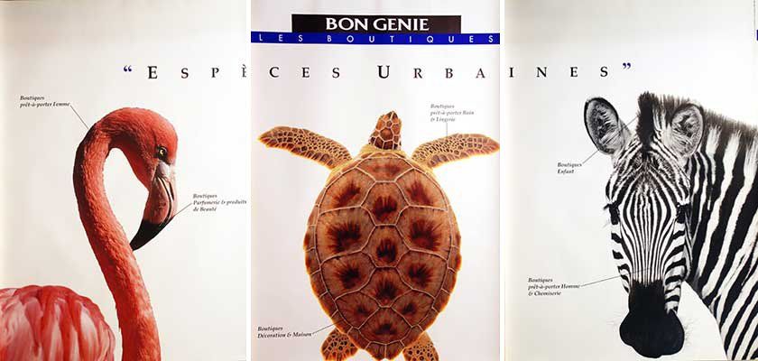 Foto & Immagini: Städtische Vielfalt / Espèces Urbaines – Nuovo (secondo la descrizione) da Bern venduto da Vintage-Art-Poster 4