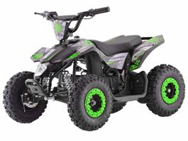Mini Quad ECO SPORT 1000 – Grün
