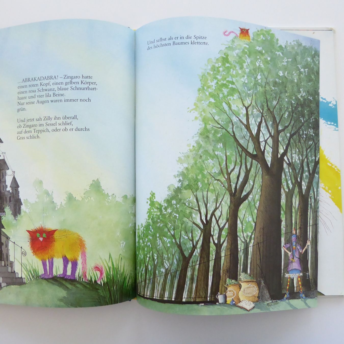 Libri: Zilly, die Zauberin – Usato da Basel venduto da Kunterbunt12 4