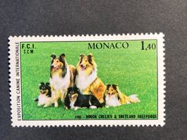 Monaco 1981 Hundeausstellung Monte Carlo Collie Schäferhund
