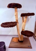 Echtholz Katzenbaum mit extra grossen Liegeflächen