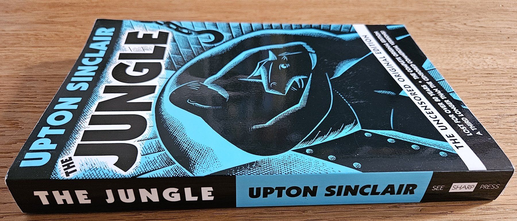 Libri: Upton Sinclair: The Jungle – Usato da Schaffhausen venduto da asyouwestley 1