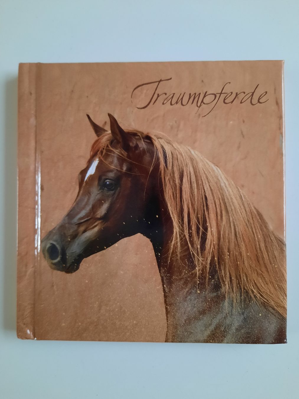 Libri: kleines Büchli Traumpferde – Nuovo (secondo la descrizione) da Nottwil venduto da mar_jqm7