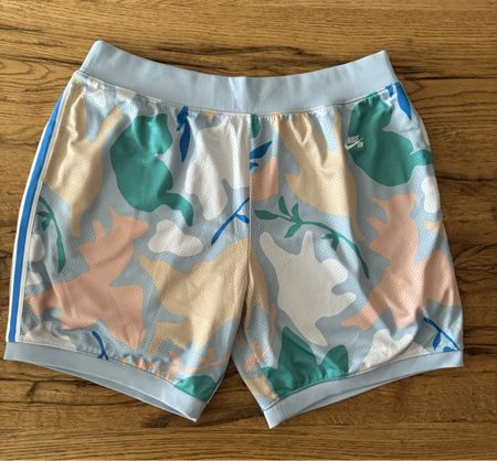 Nike SB Shorts / Dri-Fit