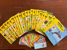 Collection de petite salamandre (4-7 ans)