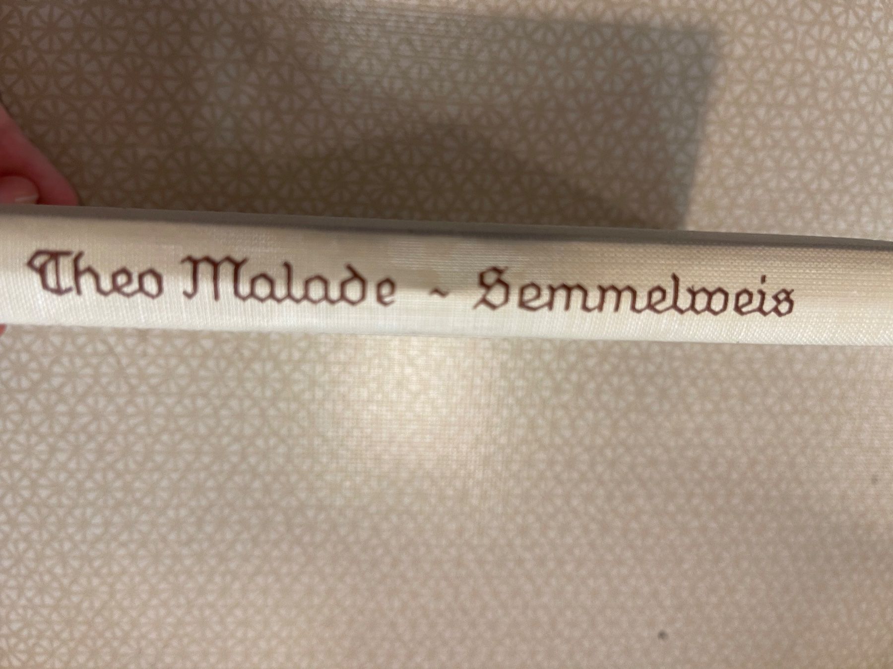 Bücher: Buch - Theo Malade - Semmelweis – Gebraucht aus Urnäsch von pas_5r9c 1