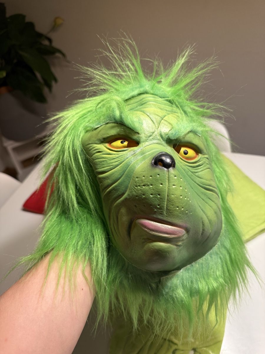 Kostüme: Grinch kostüm gr L  – Neu (gemäss Beschreibung) aus Zürich von Denise-8050 2