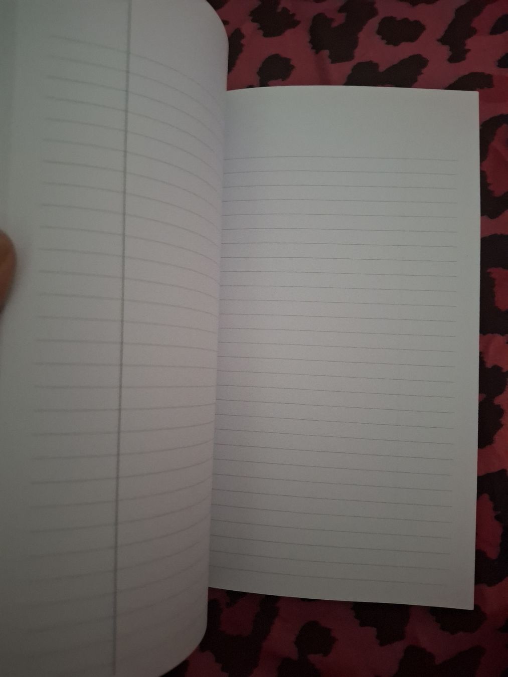 Bücher: Queen Freddie Mercury Notizbuch – Neu (gemäss Beschreibung) aus Alpnach Dorf von dek_s78g 2