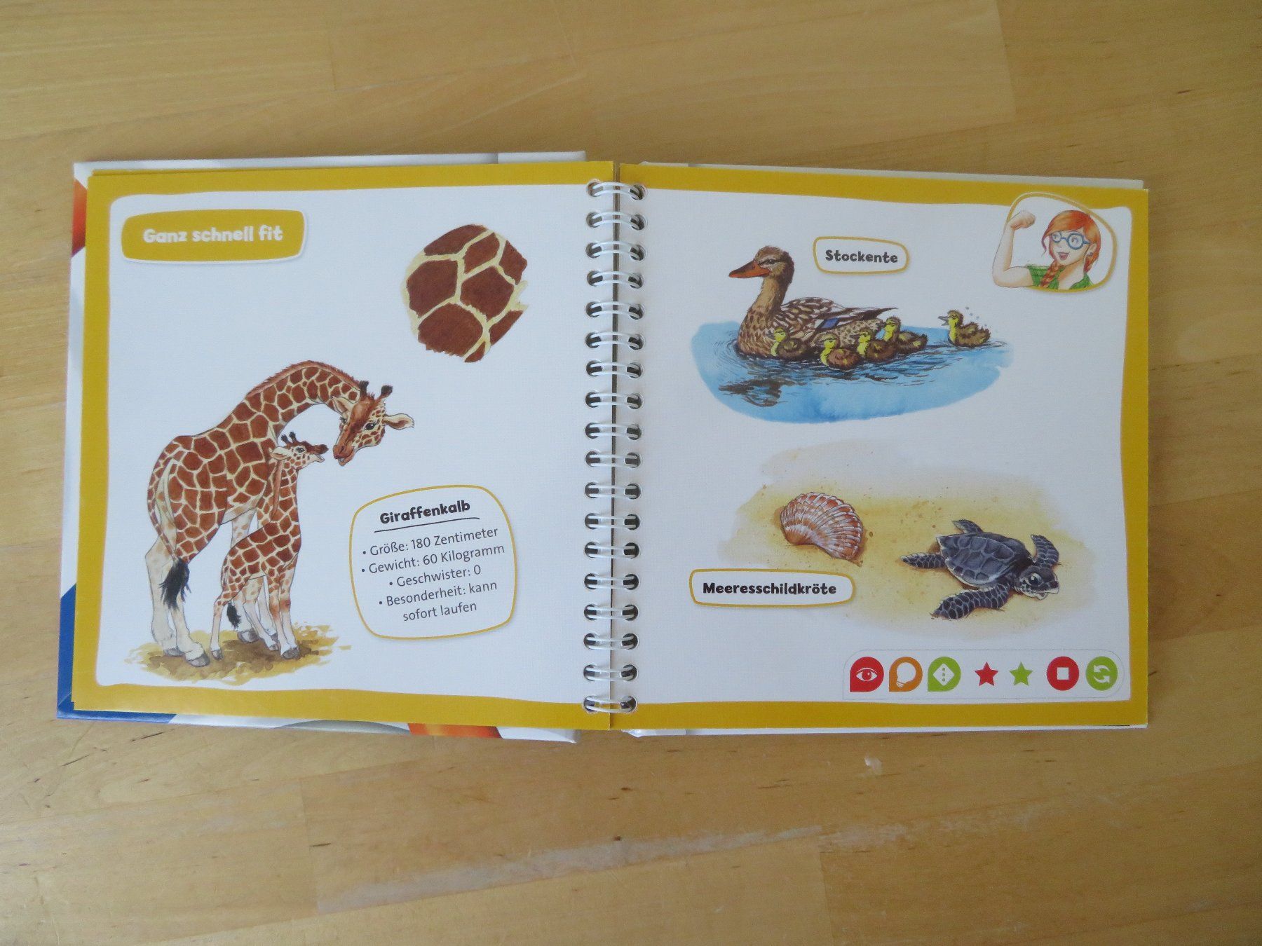 Libri: TIP TOI Pocket "Tierkinder" – Usato da Zürich venduto da piroma 1