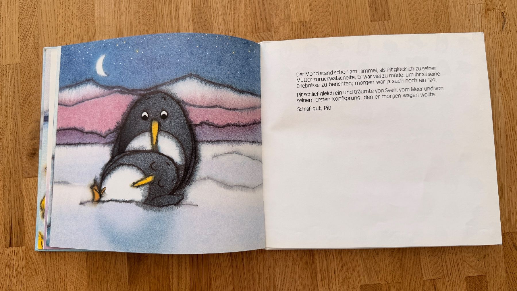 Libri: Buch - Pinguin Pit – Usato da Winterthur venduto da Secondhand-Family 8