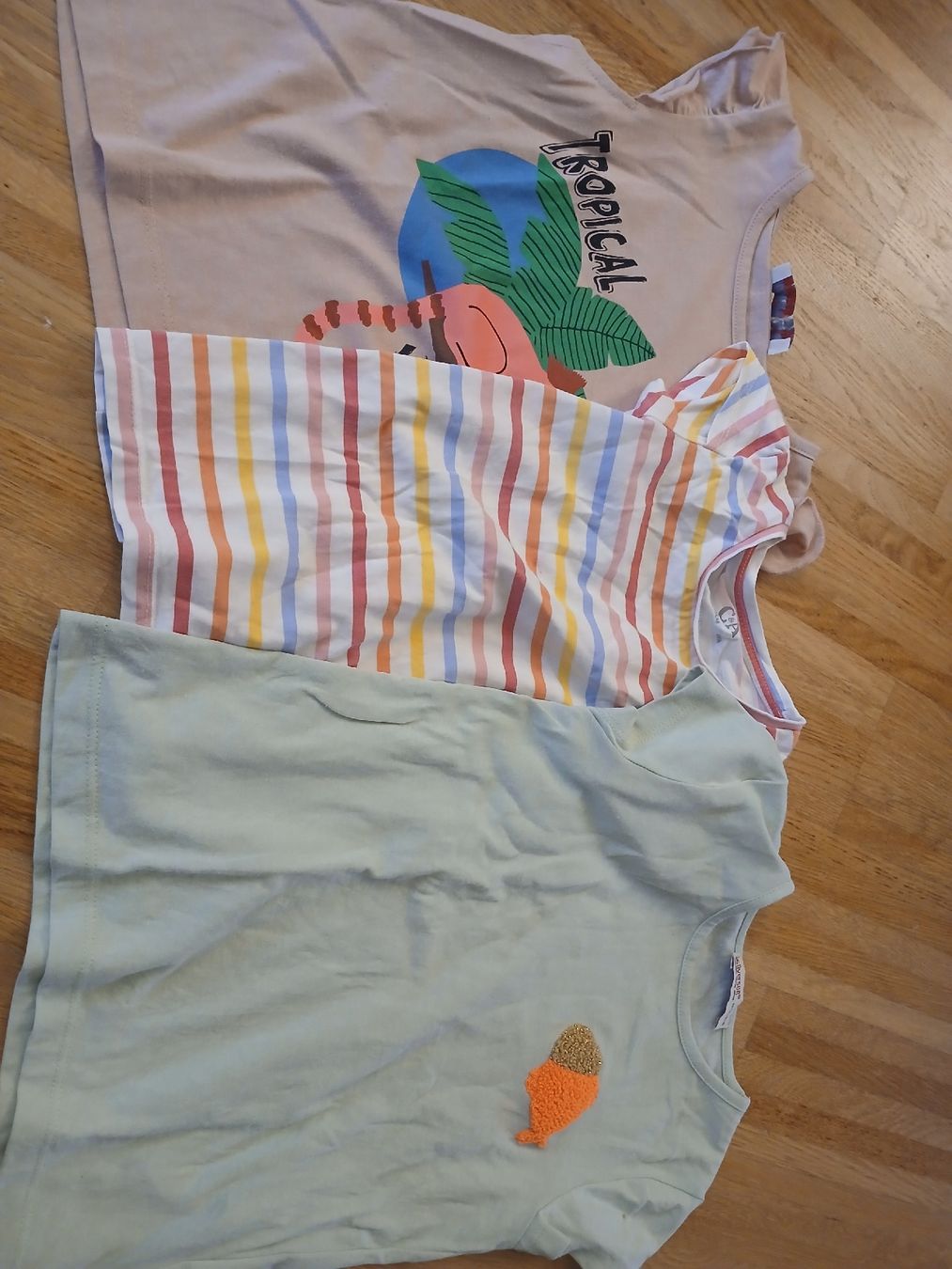 Blusen, T-Shirts & Tops: T-Shirts Gr 110 – Gebraucht aus Münchwilen TG von miwirz