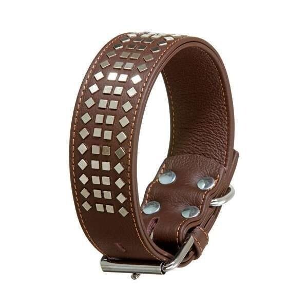 Totenkopf Hundehalsband – Verstellbares Kroko-Kunstleder Mit Spike-Nieten | Für Mittelgroße Bis Große Hunde | Robust & Stylisch