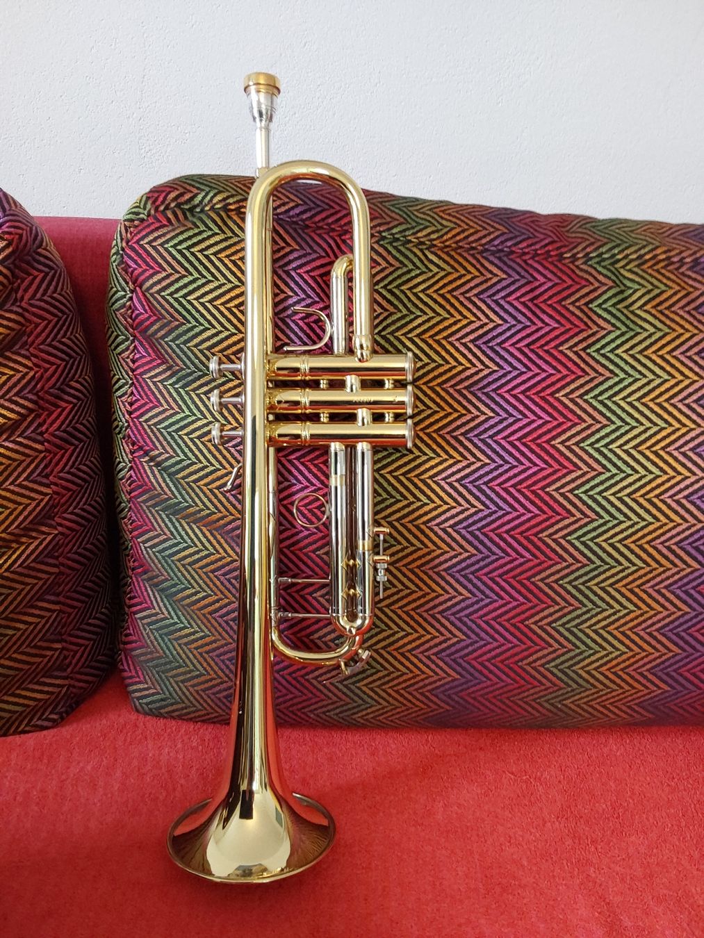 Strumenti musicali: Trompete Bach Stradivarius – Nuovo (secondo la descrizione) da Reinach AG venduto da son_6trr 2