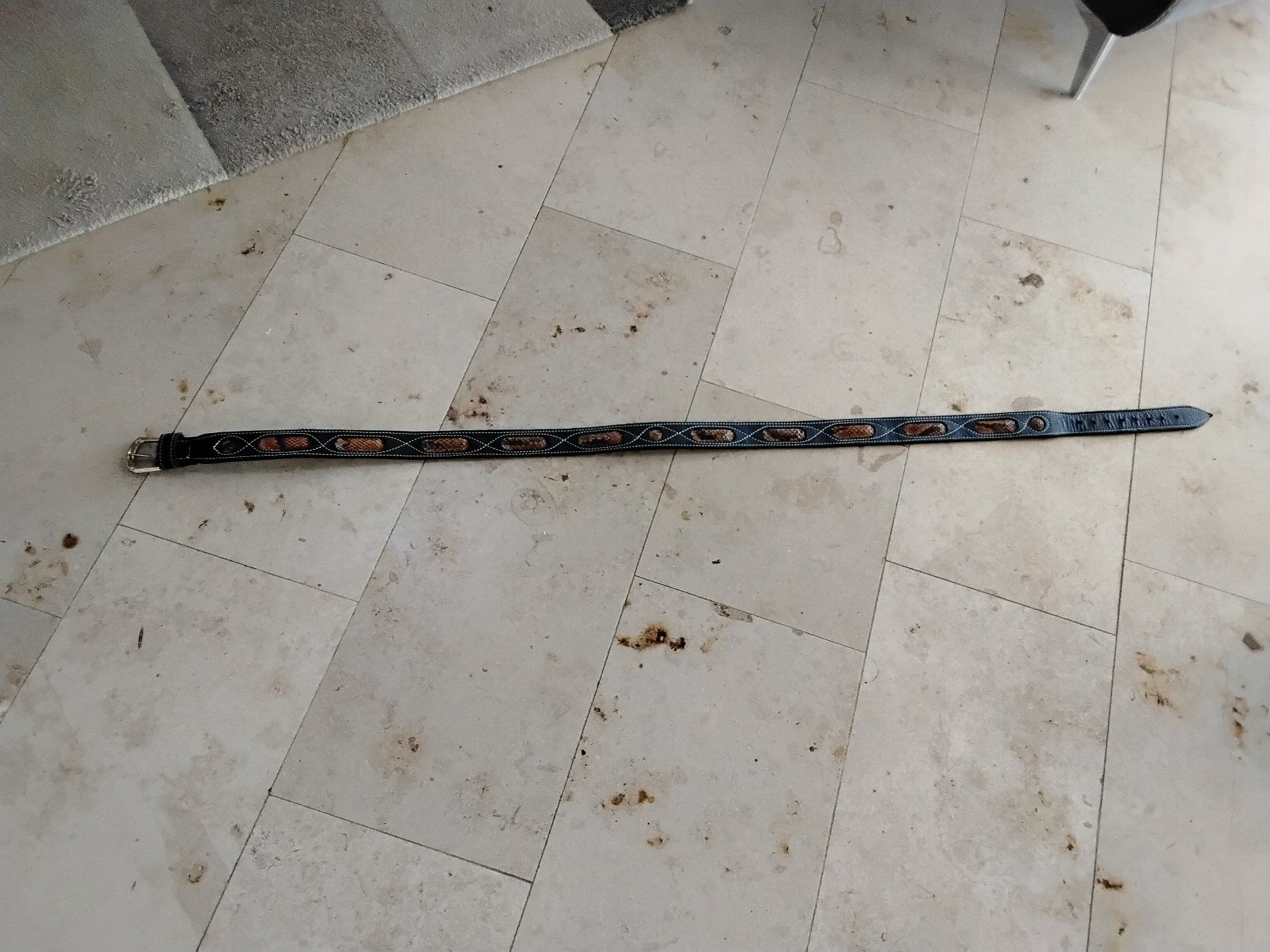 Cinture: Ledergurt mit  Slangenhauteinsatz – Usato da Bazenheid venduto da Gogo50 3