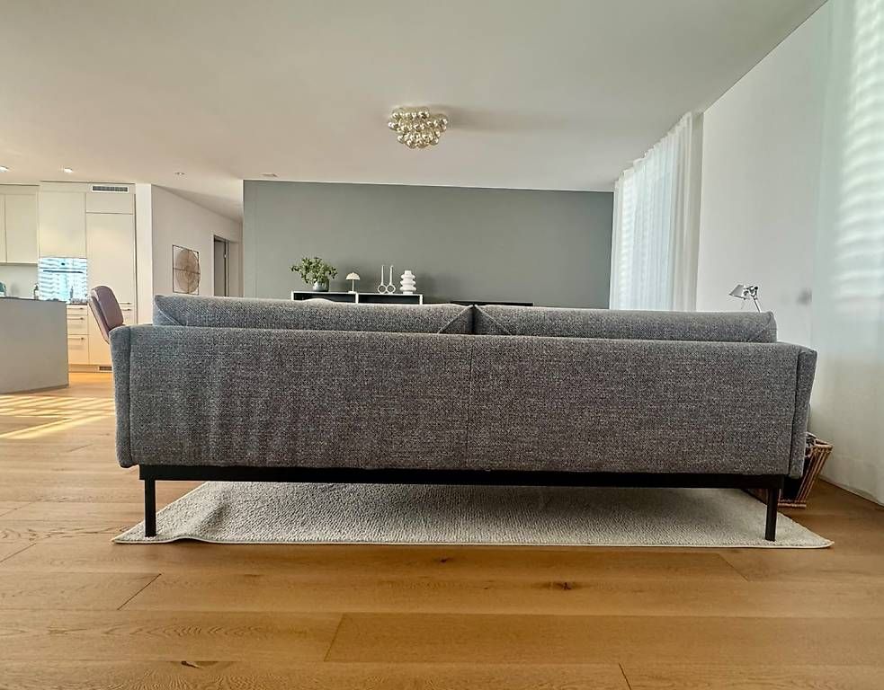 Sofas: IKEA ÄPPLARYD 3-Sitzer Sofa – Gebraucht aus Zürich von zsilvio80 2