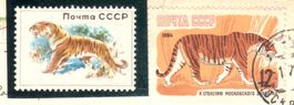 RUSSIA (USSR) 1960 Tiger - Dummy stamp + stamp on 1964 card