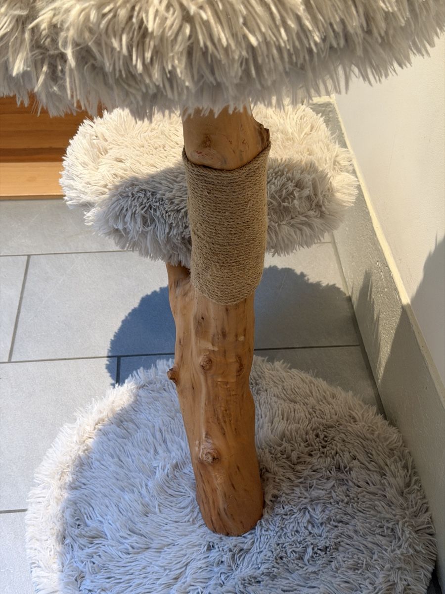 Tiragraffi: Katzenbaum Holz, Grau – Usato da Thun venduto da frieddi1 2