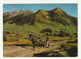 Ansichtskarte Col des Mosses Pic Chaussy, Waadt 1986