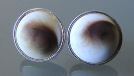 Silber 925 Shiva Eye Ohrstecker 11 mm