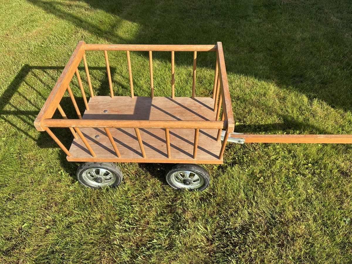 Carrelli di trasporto: Kinderleiterwägeli – Usato da Mühlau venduto da hofstattuhu