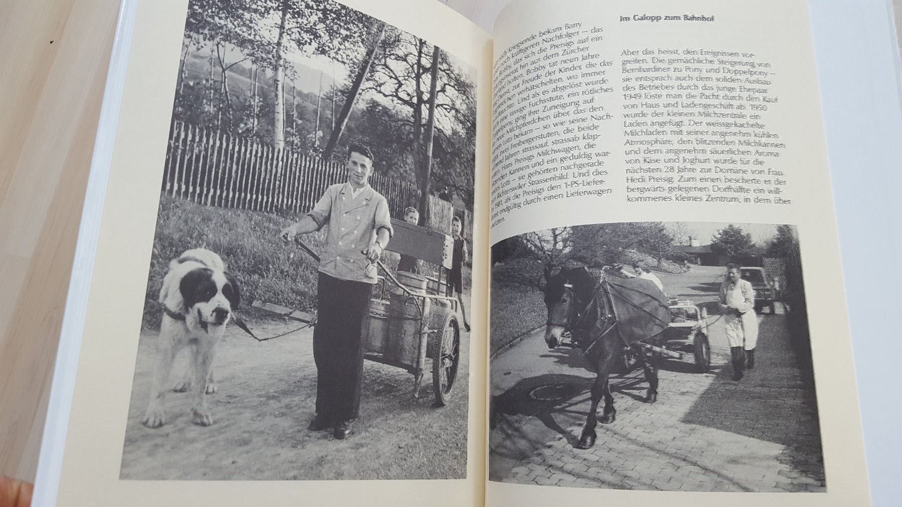 Libri: Vom Lotti und vom Milchmann – Nuovo (secondo la descrizione) da Schönengrund venduto da Liane63 9