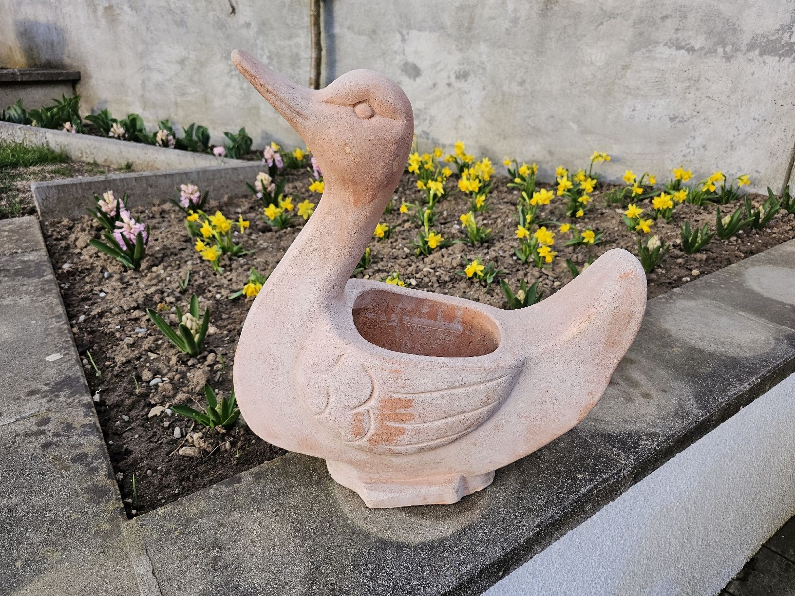 Vasi per fiori: Blumentopf Terracotta Schwan – Usato da Villnachern venduto da hasta08 9