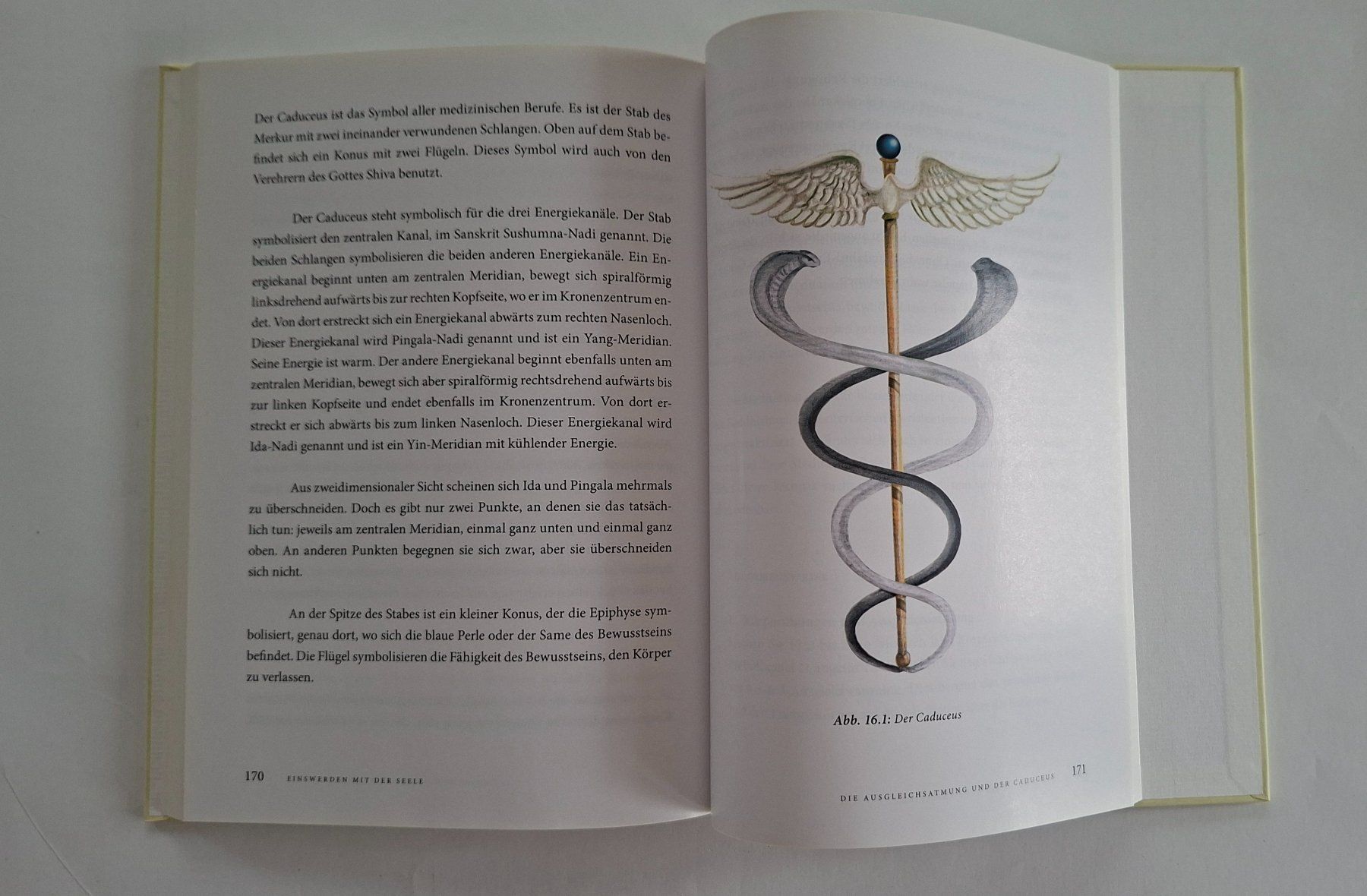 Libri: Master Choa Kok Sui - Einswerden mit der Seele, Top! – Usato da Opfikon venduto da Diversamente 6