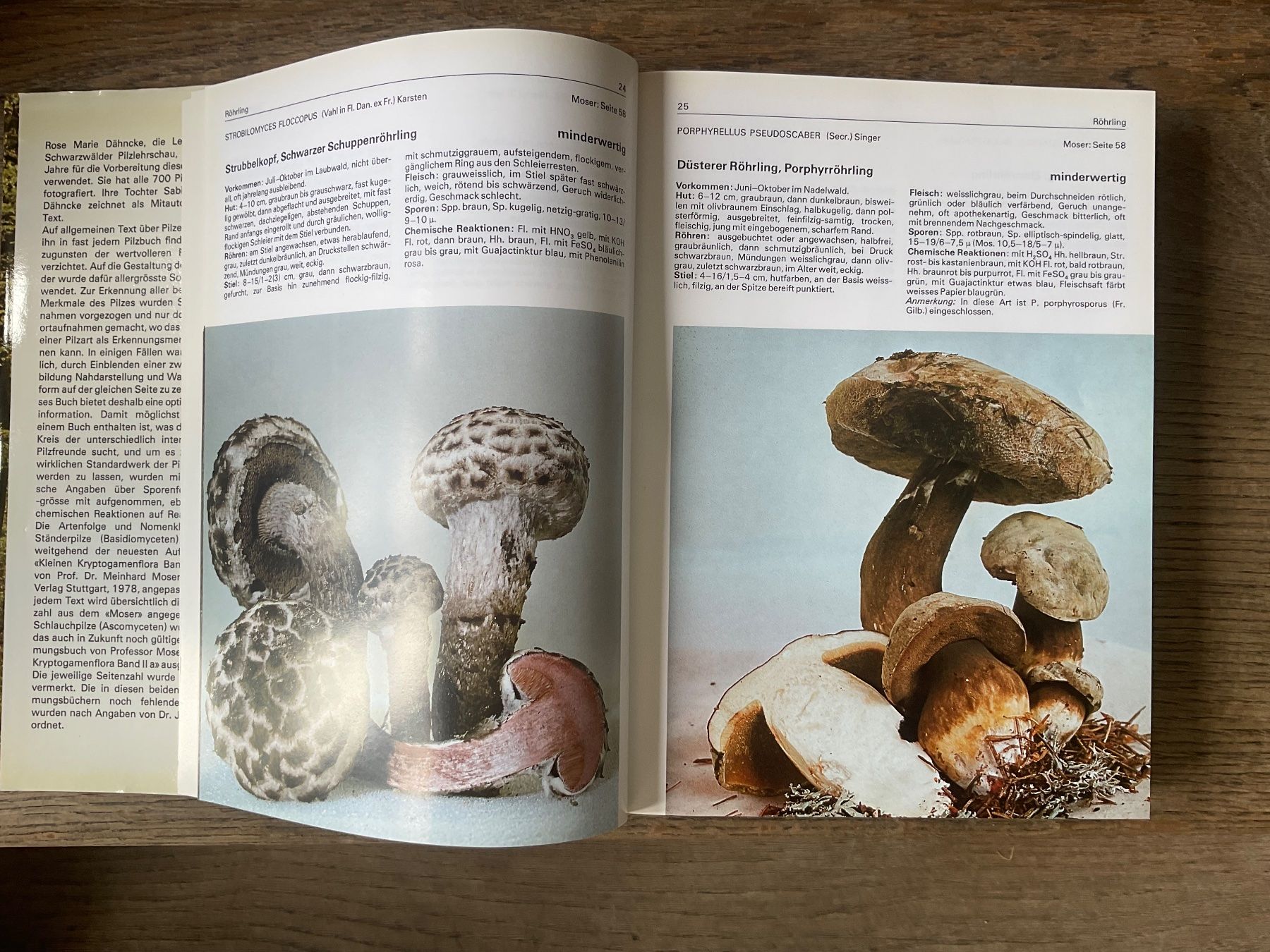Bücher: Pilzbuch 700 Pilze Buch – Gebraucht aus Aarau von Galaktos 2