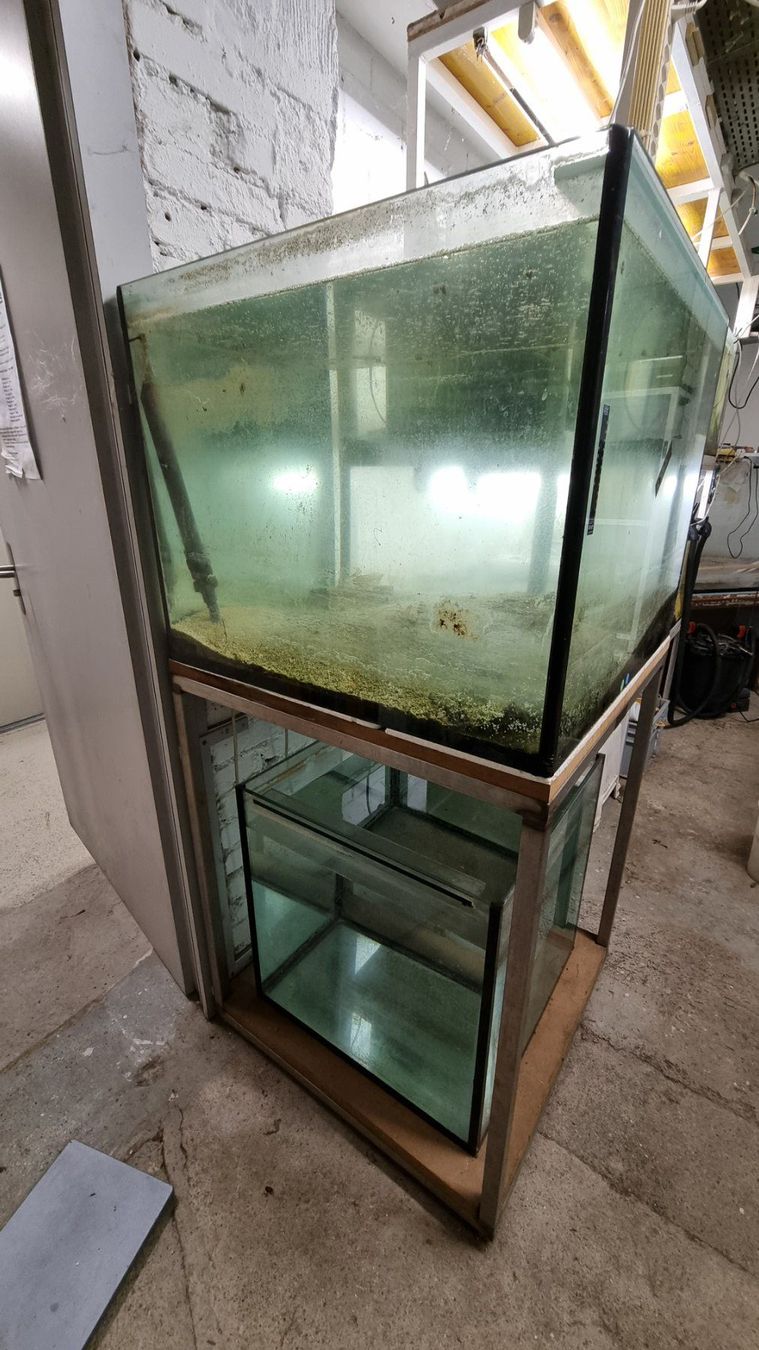 Regale: Metallregal mit 2 Aquarien – Gebraucht aus Oberentfelden von Myri13 1